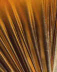 Metallic Gold Foil Spandex Lame Fabric by Yard Gold Lame Material, All Over Foil on Stretch Knit, for Dance Wear Costumes, Dresses, Leggings