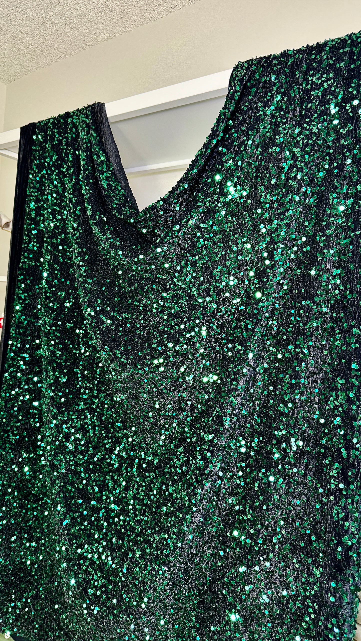 Hunter green sequins on black velvet