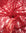 Red Floral Stretch Lace Fabric close up deep red bunched and draped semi-transparent