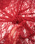 Red Floral Stretch Lace Fabric close up deep red bunched and draped semi-transparent